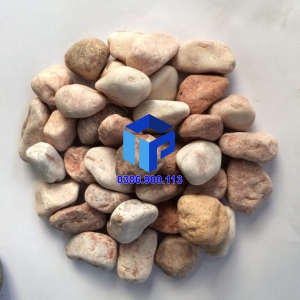 SỎI HỒNG TRANG TRÍ