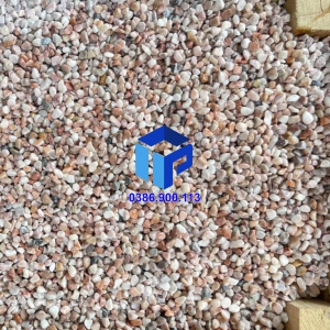 SỎI HỒNG VÒ TRANG TRÍ