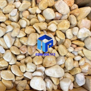 SỎI VÀNG QUAY TRANG TRÍ