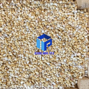 SỎI VÀNG VÒ TRANG TRÍ LỌC NƯỚC