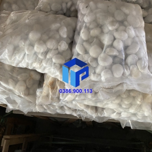 SỎI TRẮNG BÓNG XUẤT KHẨU