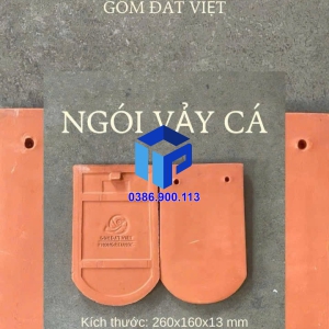 Ngói vảy cá lớn