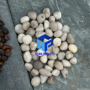 SỎI TRẮNG SỮA  BÓNG NHẬP KHẨU 
