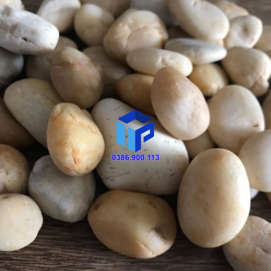 SỎI TRẮNG NGÀ TRANG TRÍ