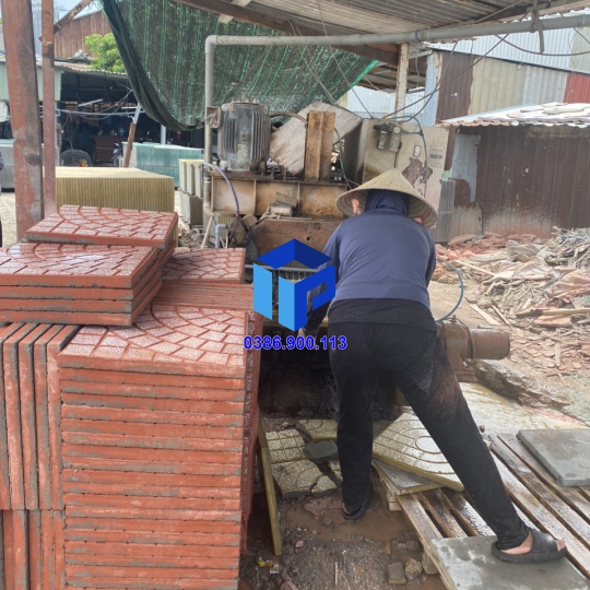 Gạch Lát Vỉa Hè 40x40 Terrazzo Cánh Quạt Đỏ
