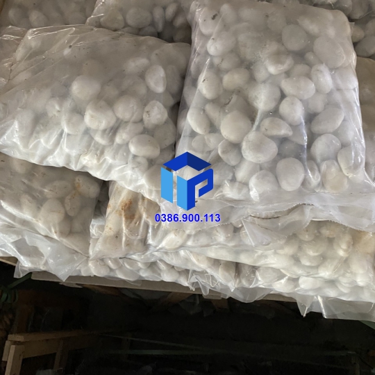 SỎI TRẮNG BÓNG XUẤT KHẨU
