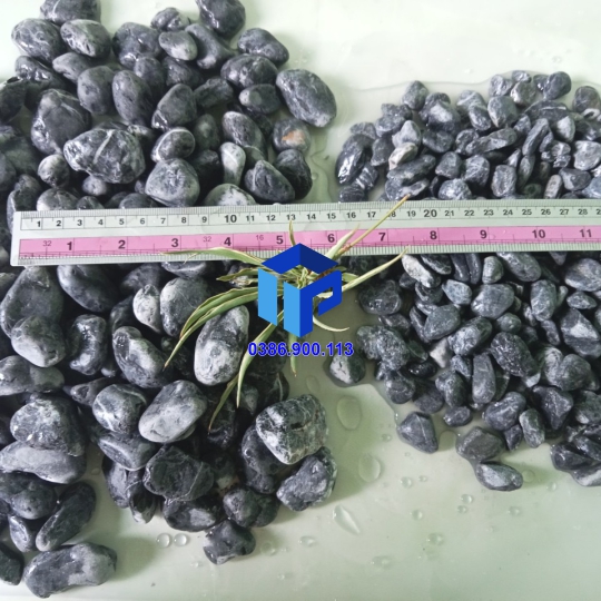 Sỏi tự nhiên đen vò