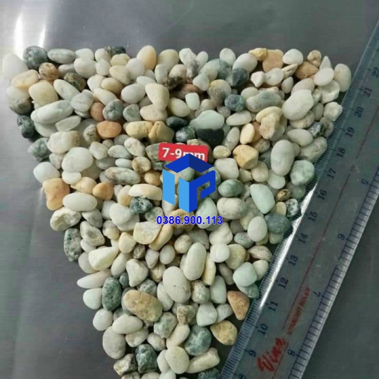 Sỏi biển