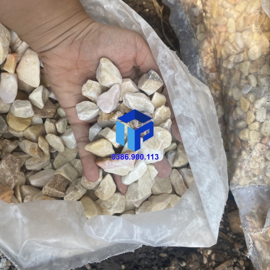 Sỏi tư nhiên vàng quay