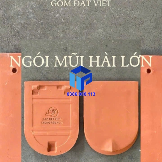 Ngói mũi hài lớn