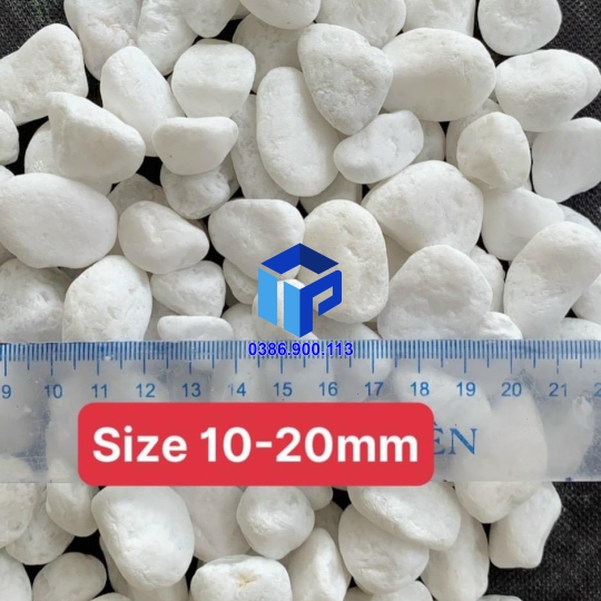 sỏi trắng quay tròn tự nhiên 