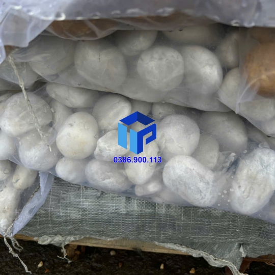 SỎI TRẮNG SỮA  BÓNG NHẬP KHẨU 