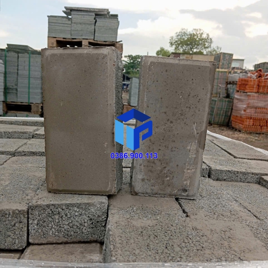 Gạch tự chèn kiểu chữ nhật 200x100x60mm